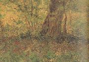 Vincent Van Gogh Undergrowth (nn04) oil painting on canvas